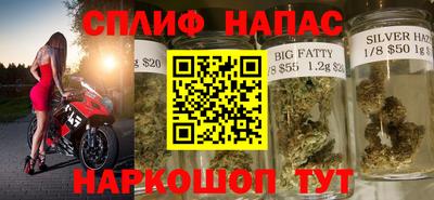 мдпв Новозыбков
