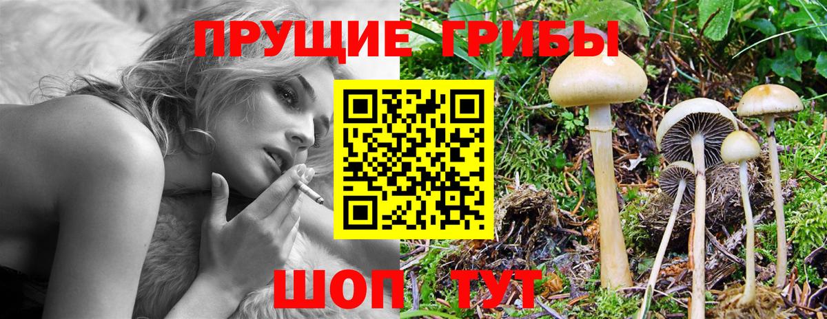Галлюциногенные грибы мухоморы  Псилоцибиновые грибы Psilocybe  Вход с VPN  Строитель 