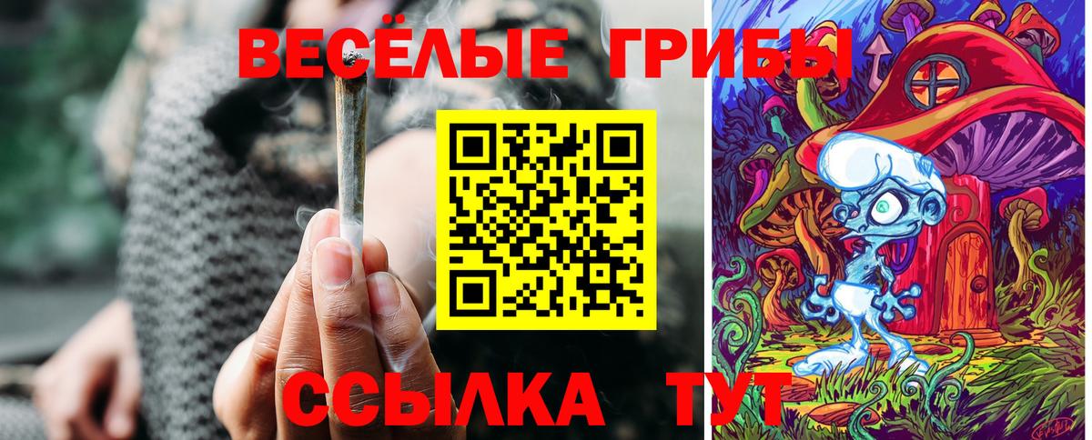 Галлюциногенные грибы прущие грибы Строитель